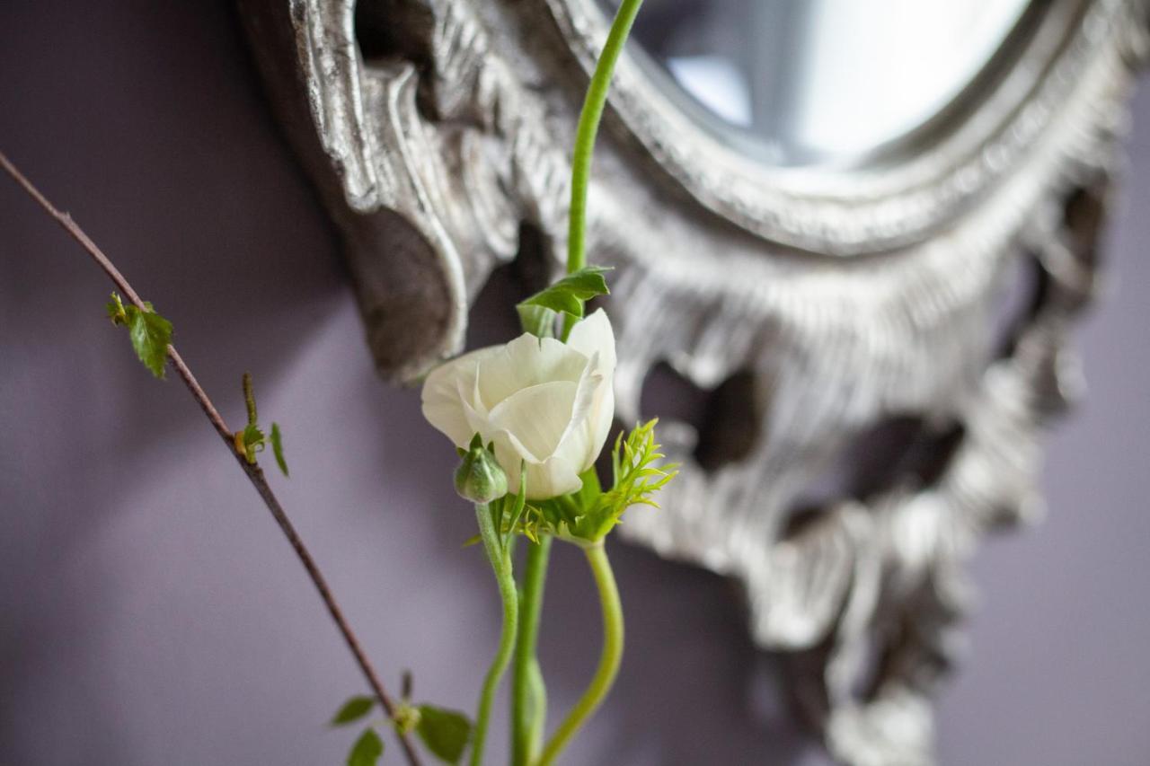라임레지스 Dorset House B&B 외부 사진